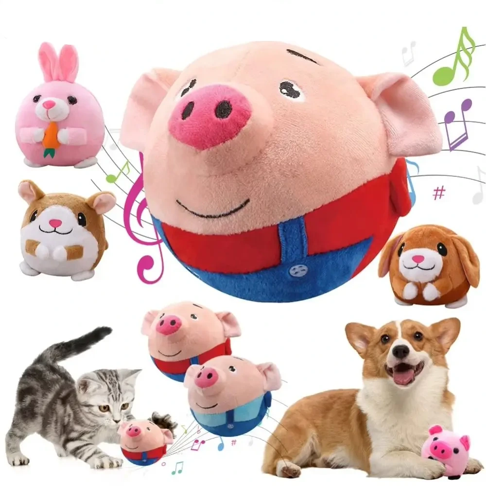 Hund Leksaksboll Musik Elektronisk