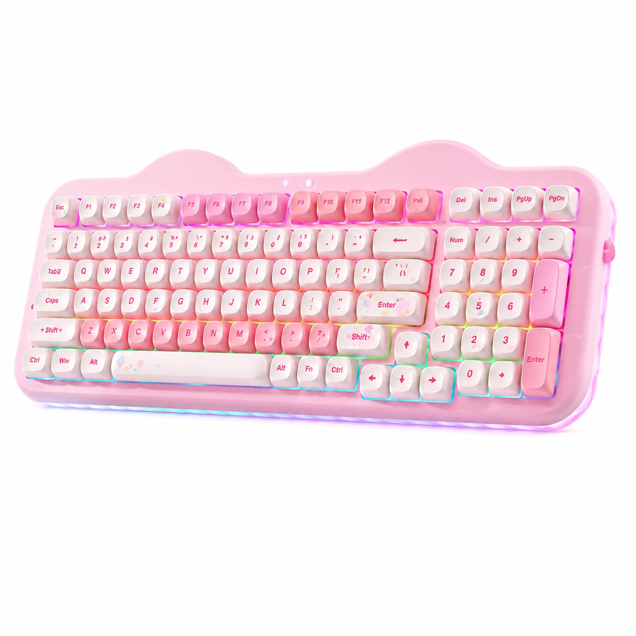 Rosa