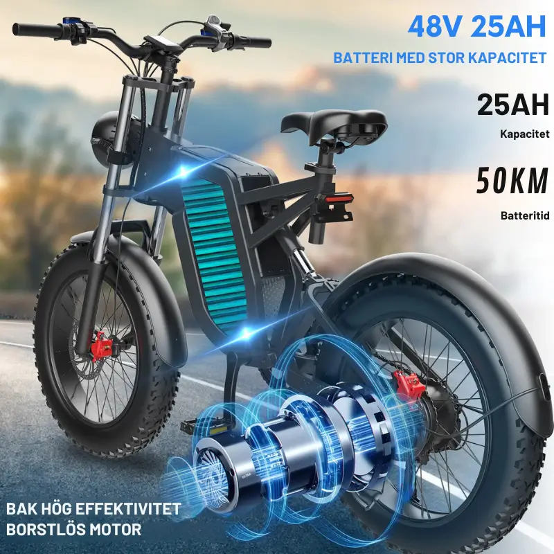 Elcykel 48V 1000W - Mountainbike 2