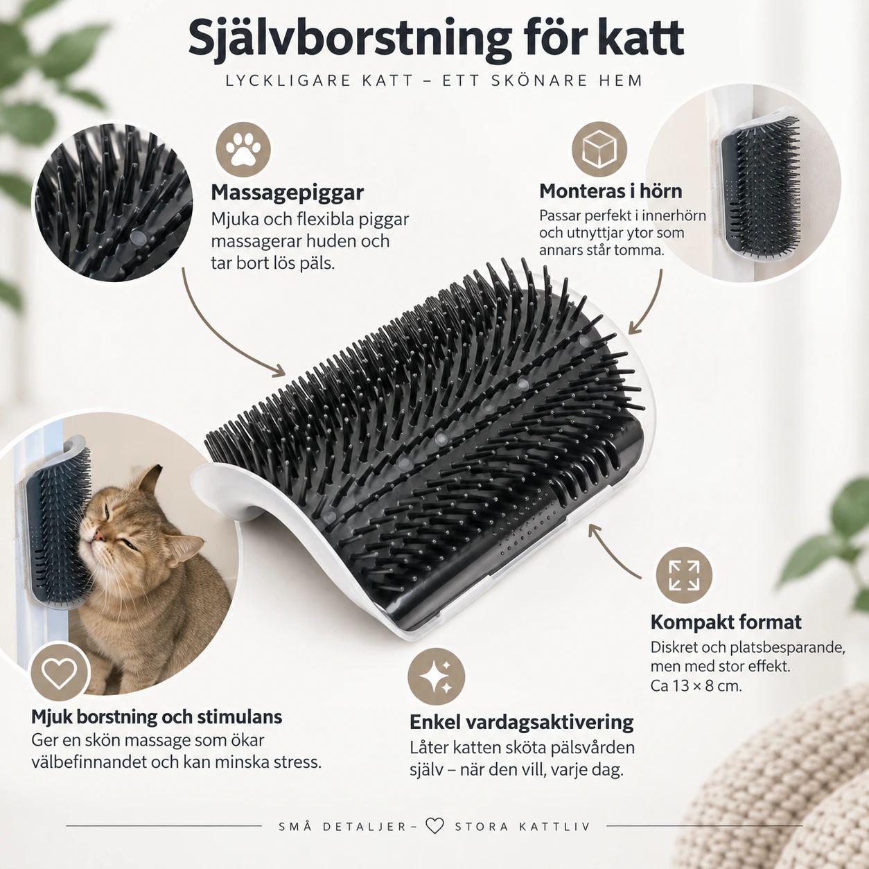 Hörnborste för katt med massagepiggar