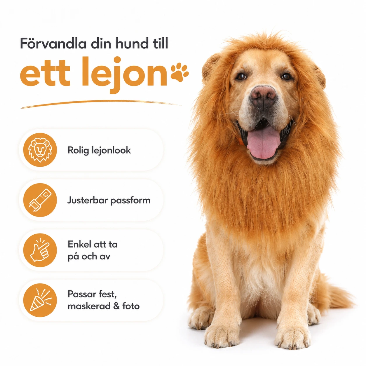 Lejonman för hund som maskeradkostym