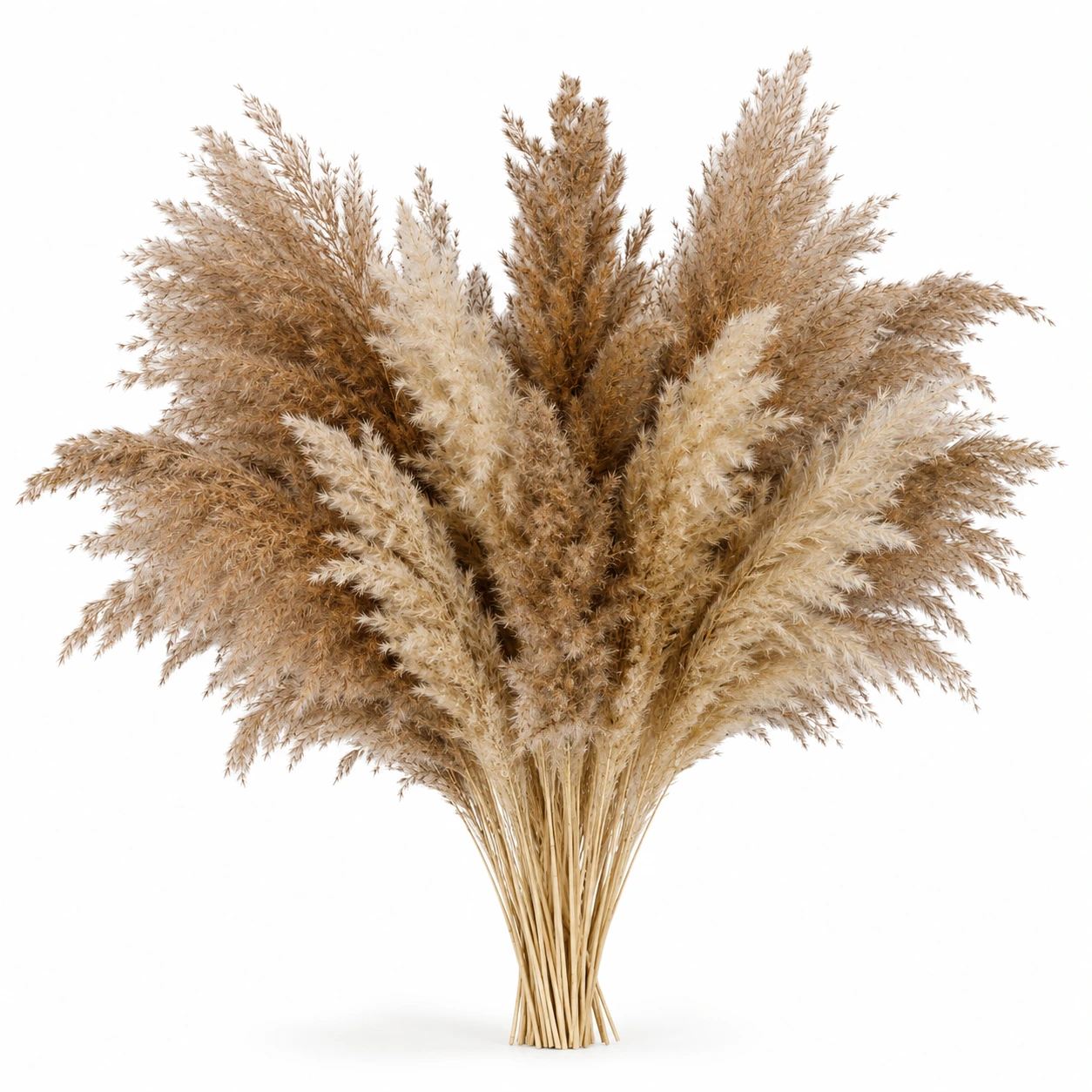 Naturbrun