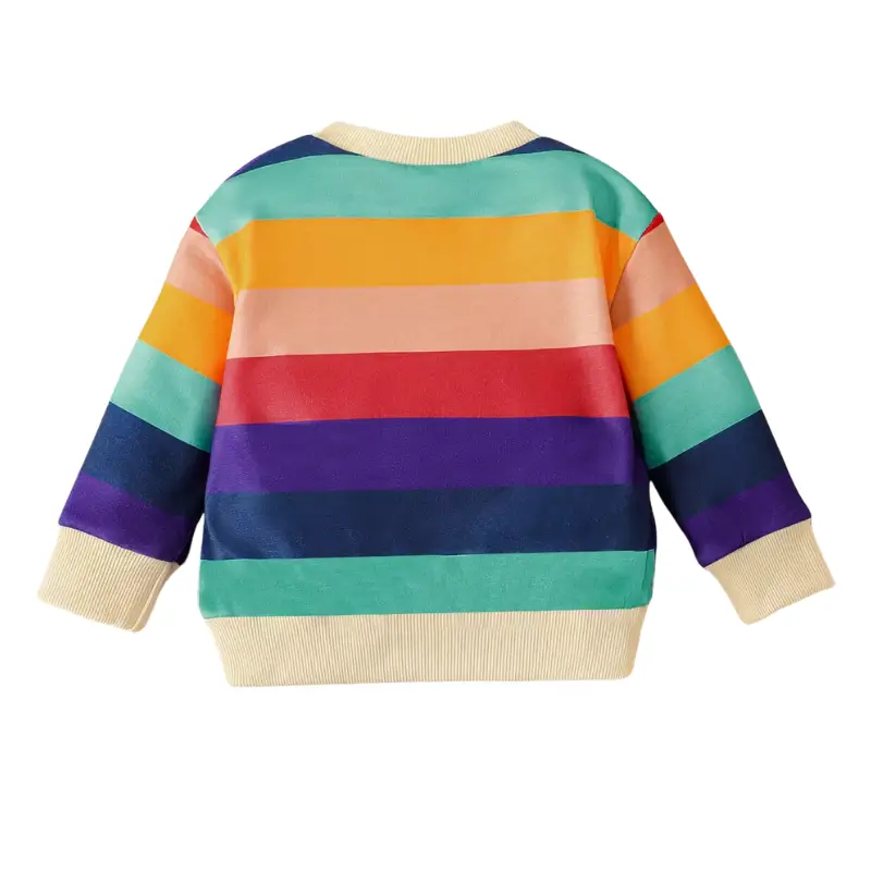 Baby Tröja Färgglad och Långärmad 2