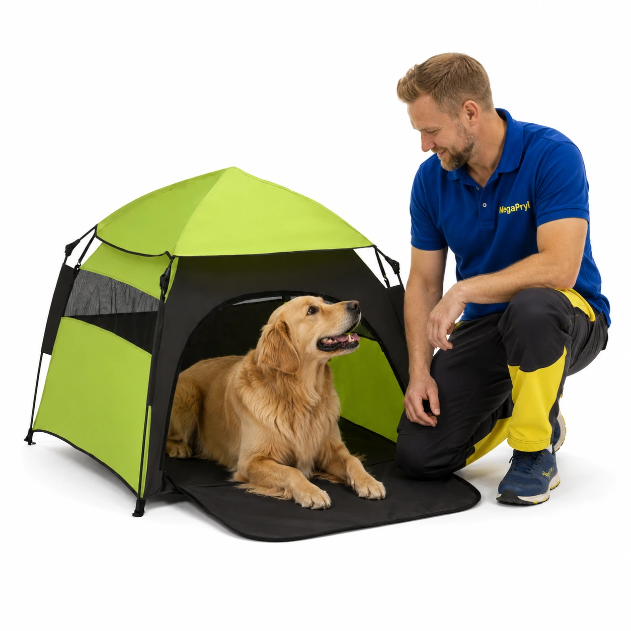 Husdjurstält för hund och katt med pop-up-design
