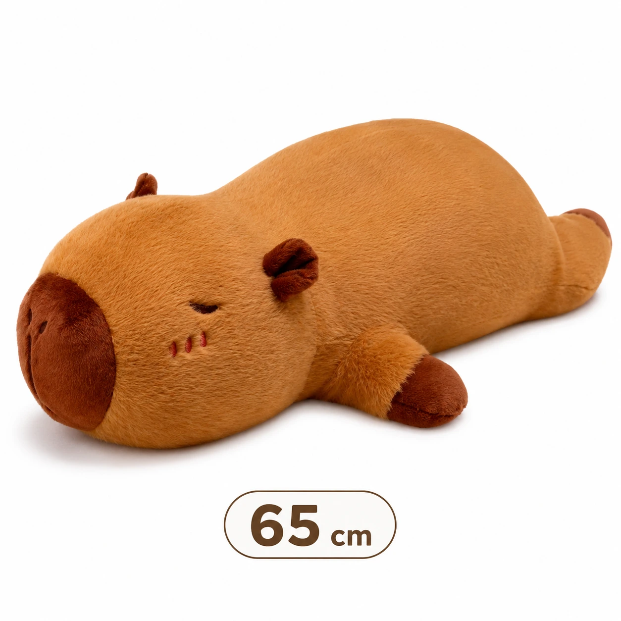 65 cm