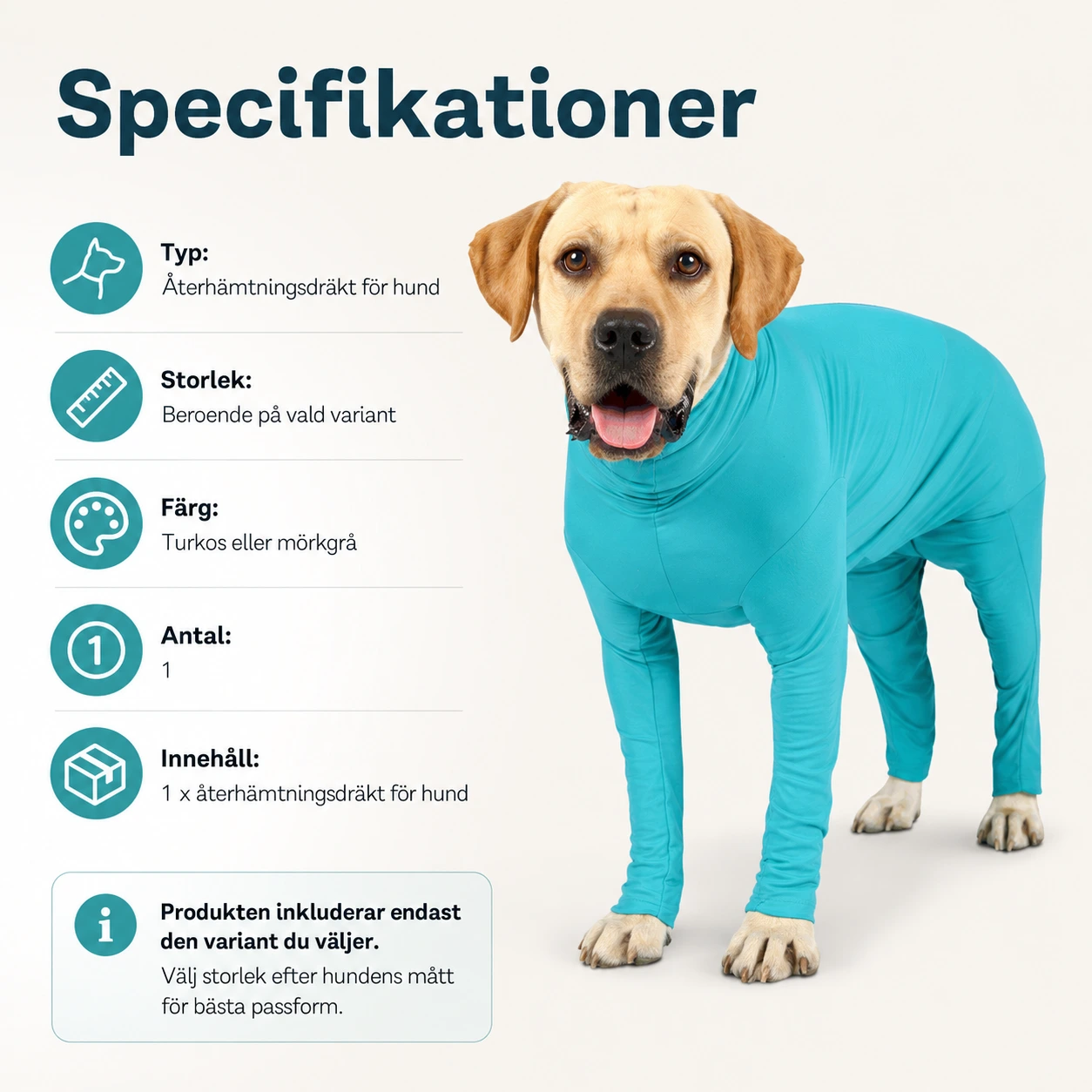 Återhämtningsdräkt för hund efter operation