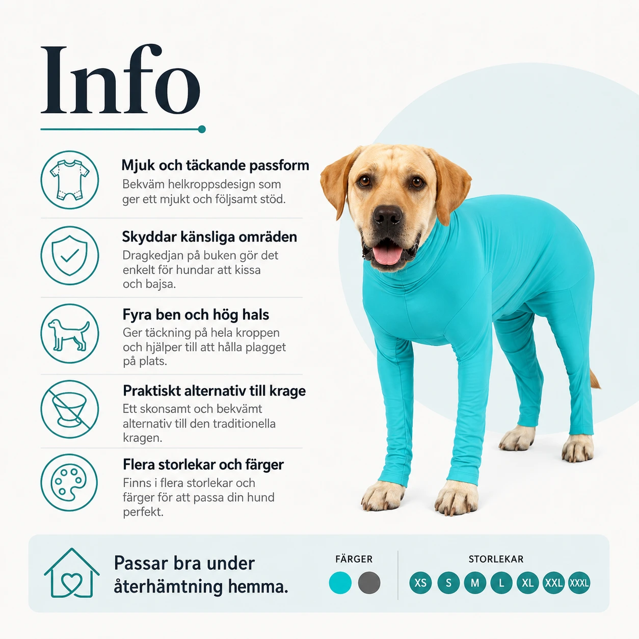 Återhämtningsdräkt för hund efter operation
