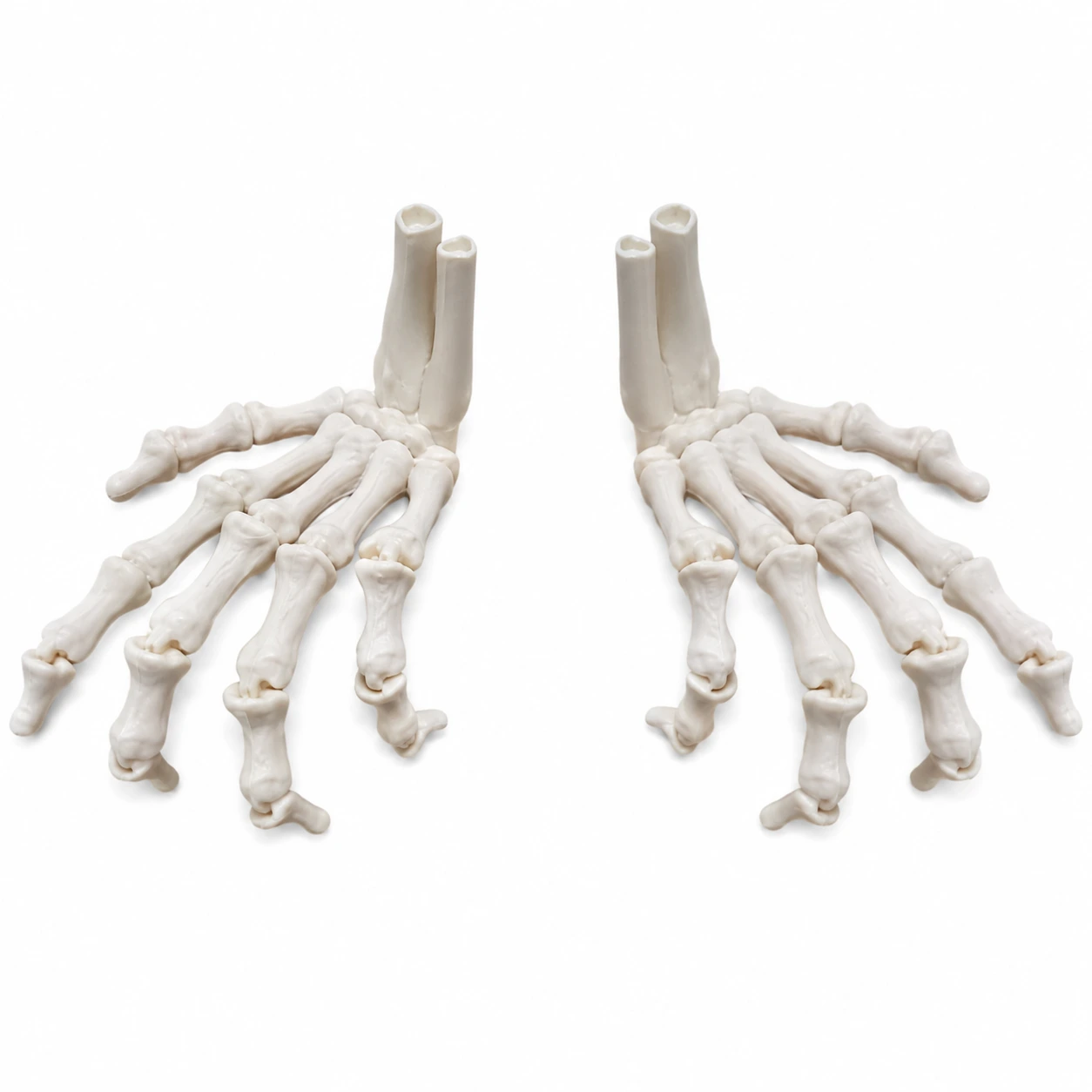 Skelett händer för halloweenpynt 2-pack