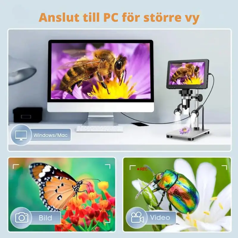 Mikroskop Digitalt LCD-skärm - 1200X Förstoring 4