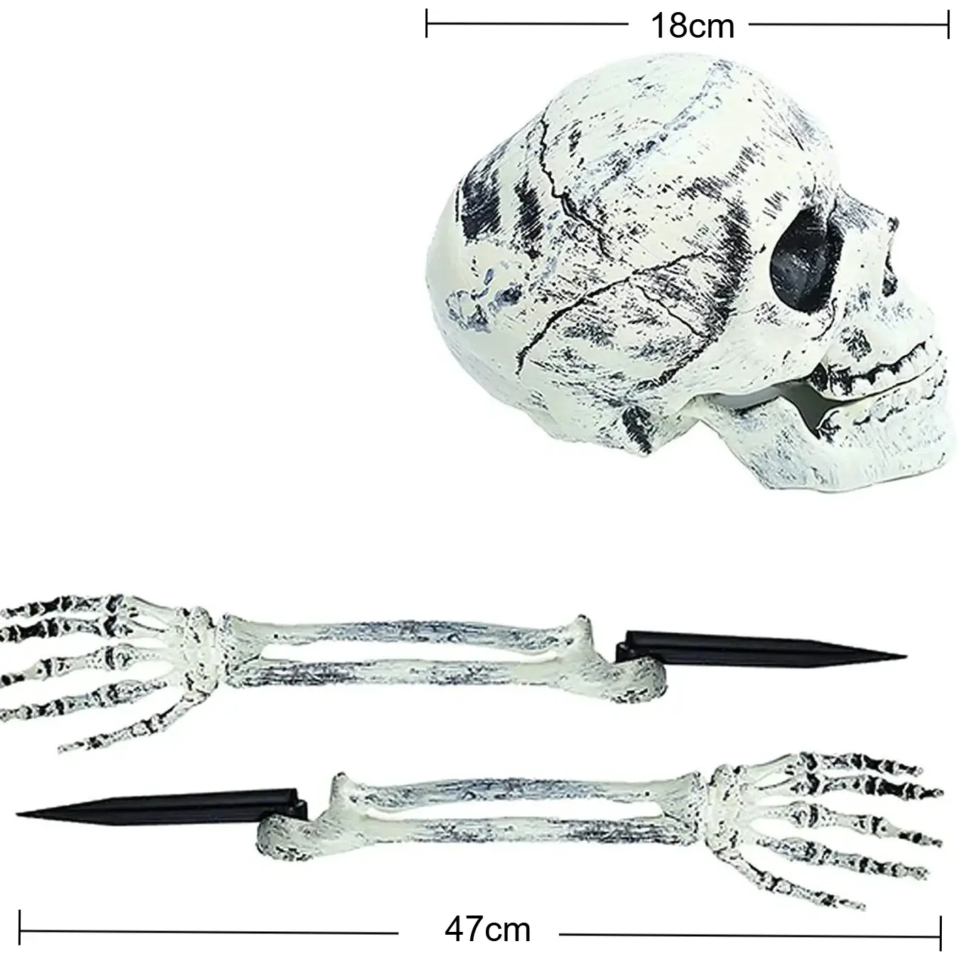 Skelett Huvud och Händer - Halloween Dekoration 5
