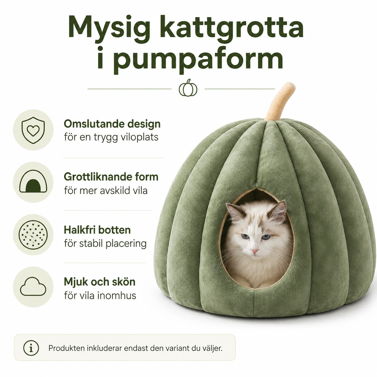 Kattgrotta i pumpaform för katt med halkfri botten