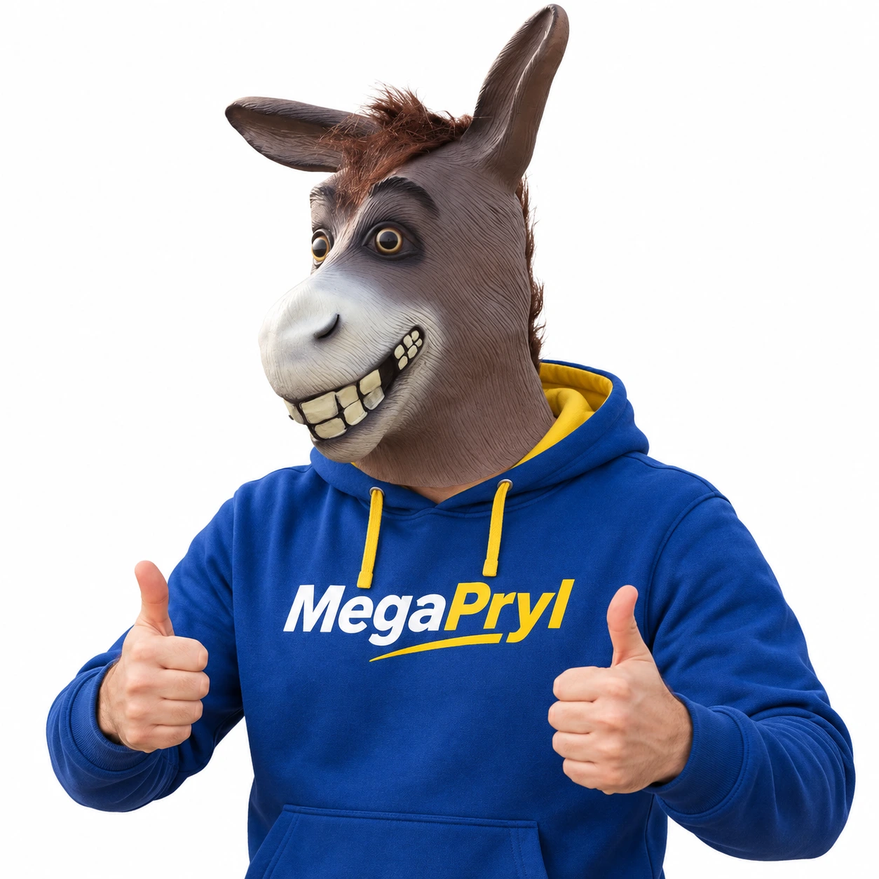 Grå Åsnan Latexmask med Leende