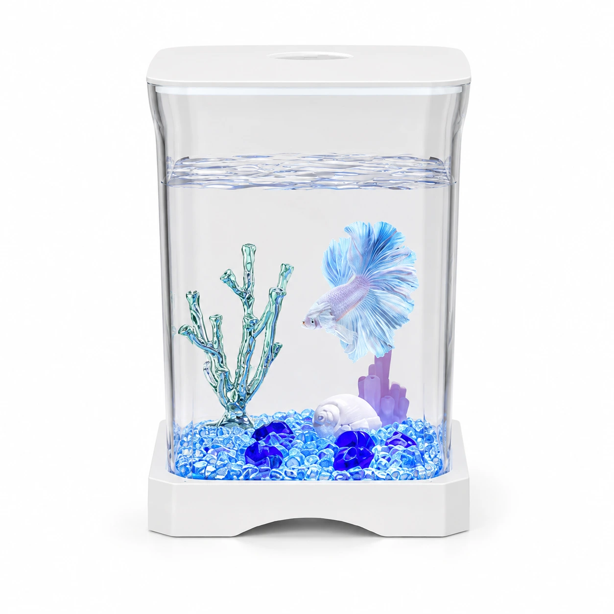 Mini akvarium för skrivbord med bottenbelysning