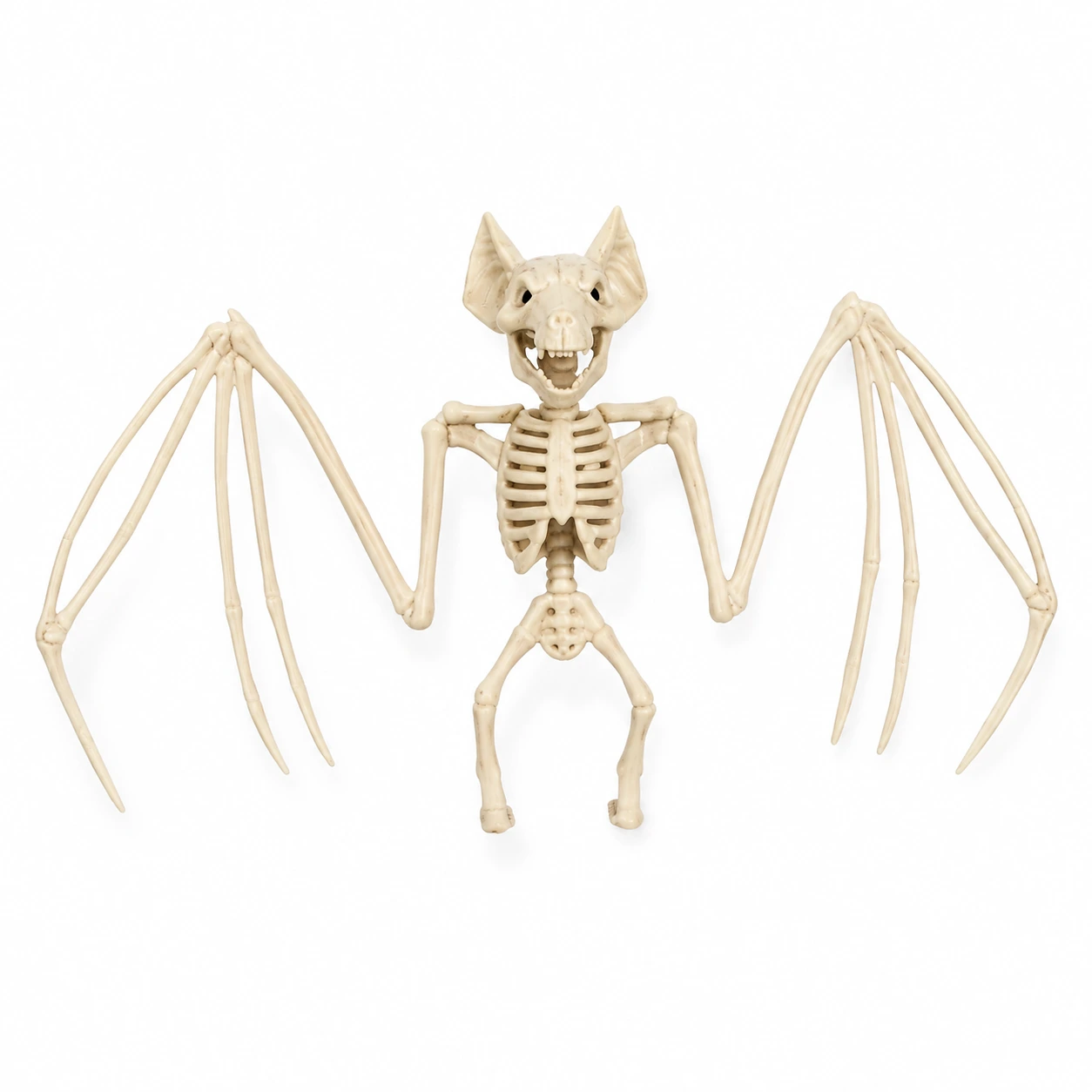 Fladdermusskelett för Halloween-dekoration 28 x 16 cm