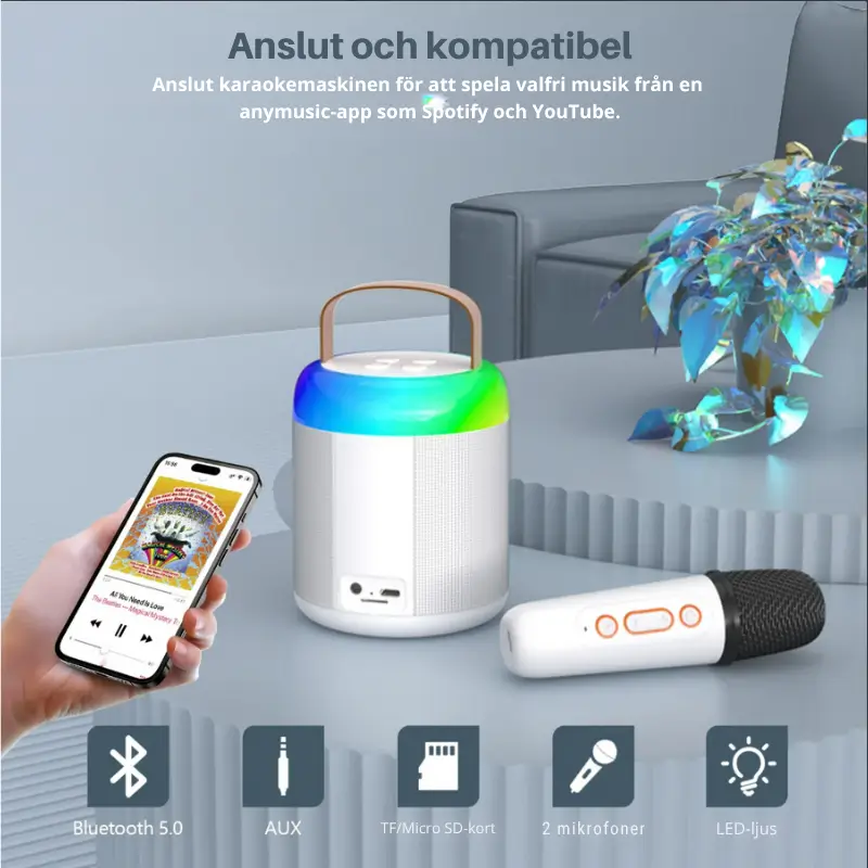 Karaoke Högtalare med 2 Mikrofoner 5