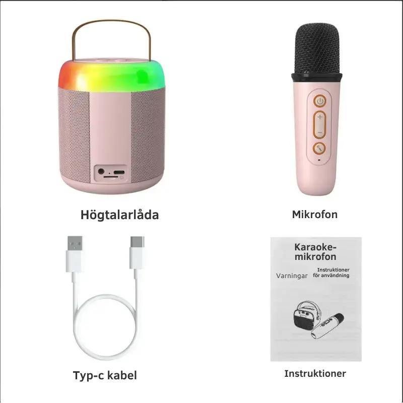 Karaoke Högtalare med 2 Mikrofoner 3