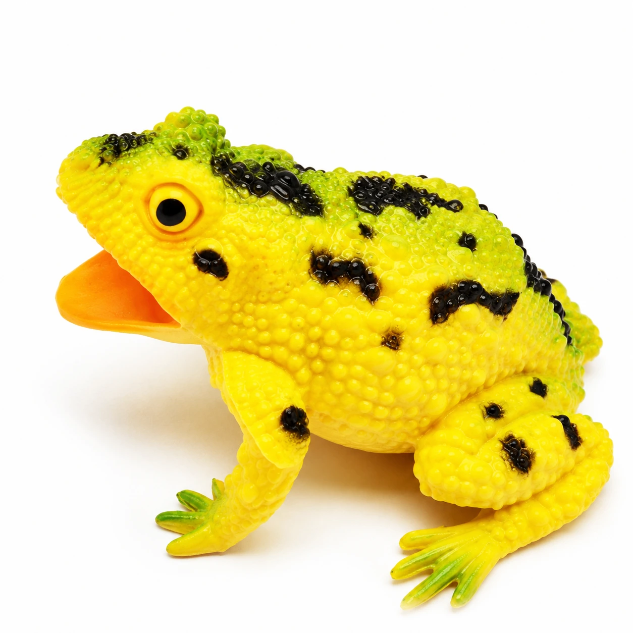 Gul