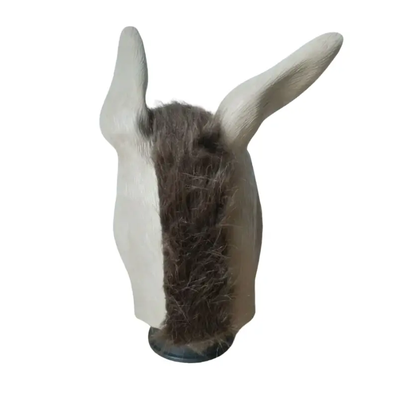 Åsnemask för Vuxna – Rolig Latexmask 4