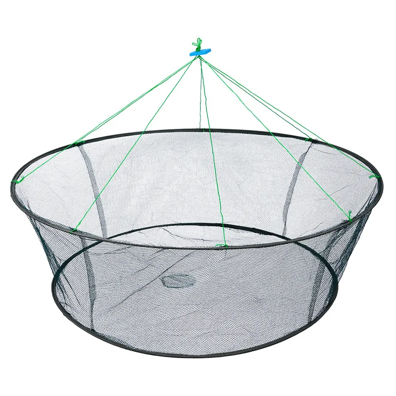 80 cm diameter